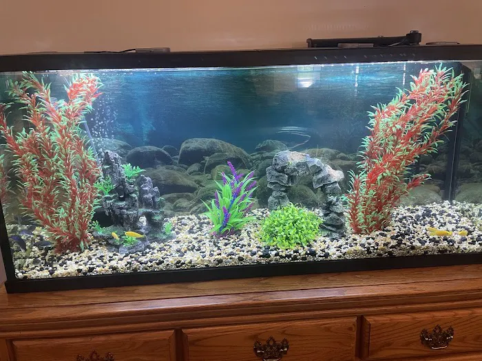 Preferred Aquatics Picture 2