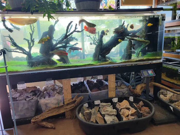 Fins & Filters -Pet Suppliers Picture 2