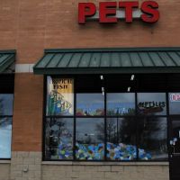 Fins & Filters -Pet Suppliers ico