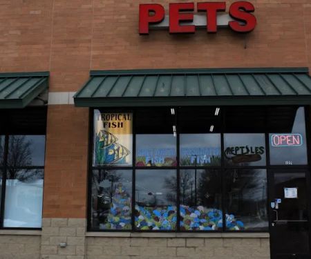 Fins & Filters -Pet Suppliers