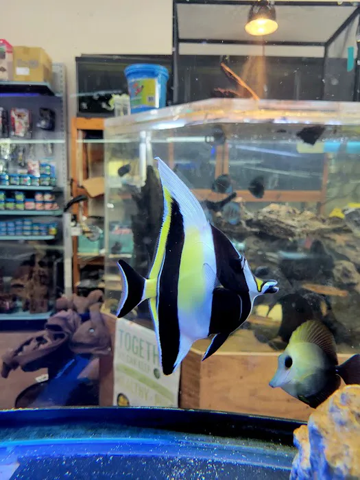 Fins & Filters -Pet Suppliers Picture 4