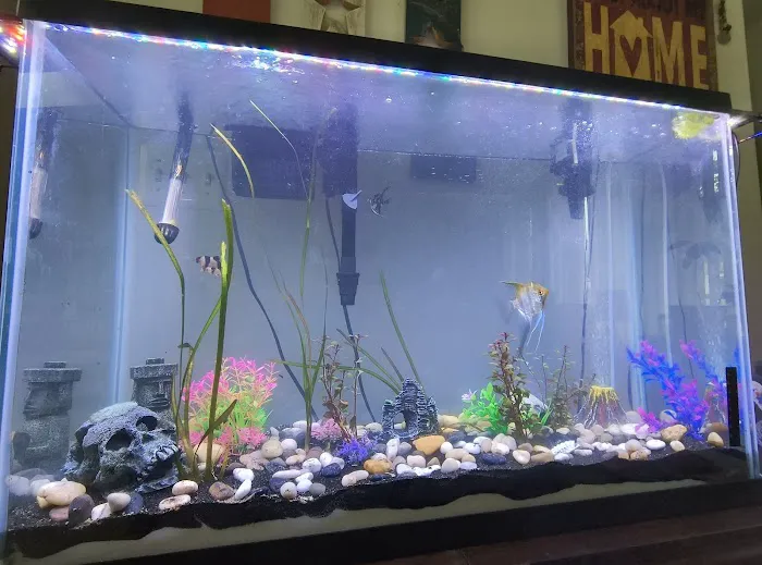 Fins & Filters -Pet Suppliers Picture 8