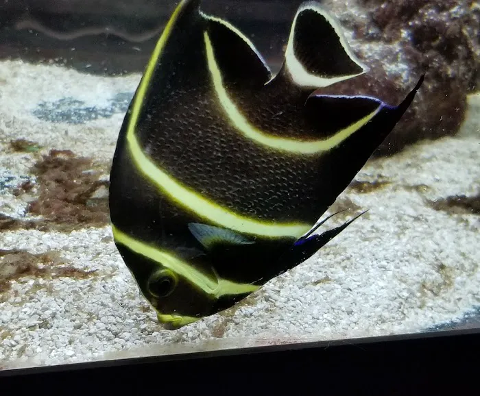 Fins & Filters -Pet Suppliers Picture 10
