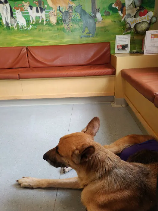 Northeast Veterinary Referral Hospital Picture 4