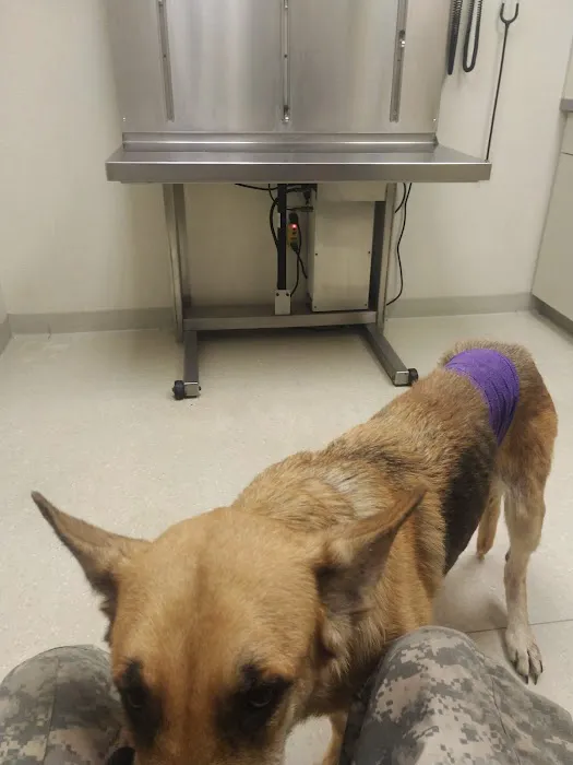 Northeast Veterinary Referral Hospital Picture 3