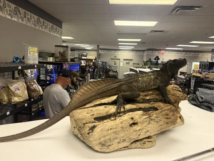 Back Road Reptiles and Exotics Picture 4