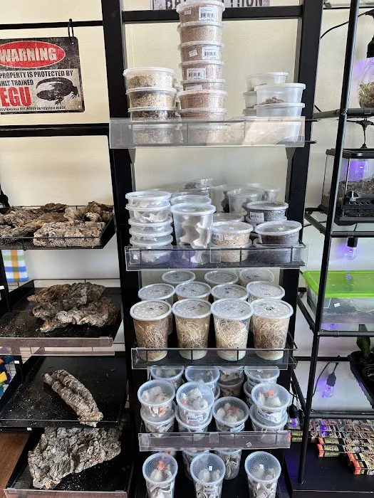 Back Road Reptiles and Exotics Picture 1