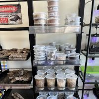 Back Road Reptiles and Exotics ico