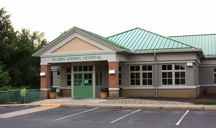 Plains Animal Hospital Picture 2