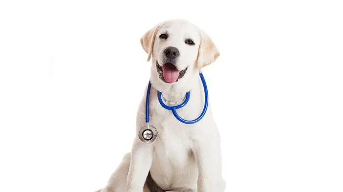 Plains Animal Hospital Picture 1