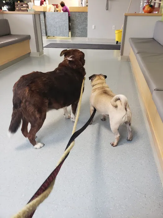 Plains Animal Hospital Picture 4