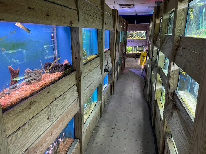 The Fish Guys Picture 5