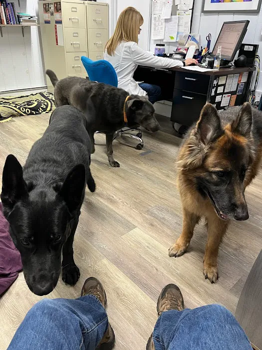 Dallas Veterinary Clinic Picture 5