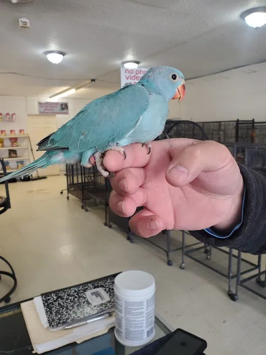 Back Mountain Veterinary Hospital Picture 4
