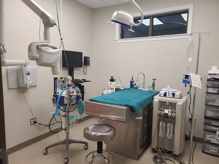 Back Mountain Veterinary Hospital Picture 7