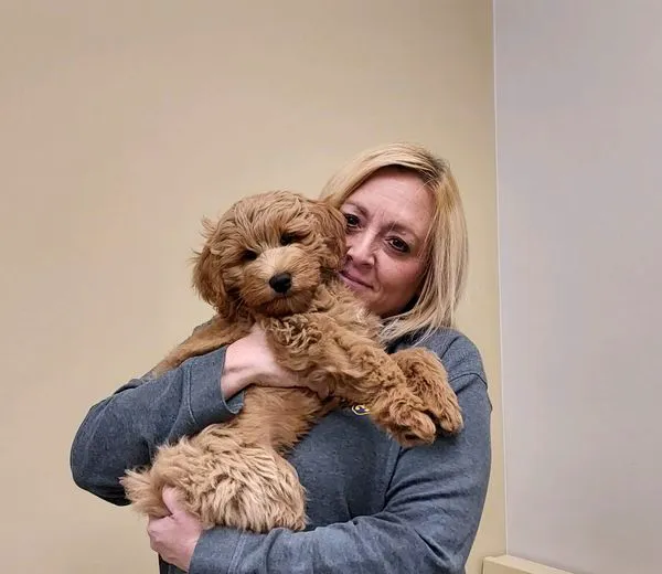 Back Mountain Veterinary Hospital Picture 8