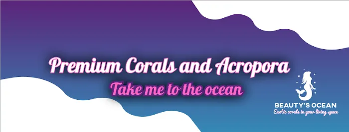 Beautys Ocean Picture 1