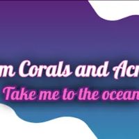 Beautys Ocean ico