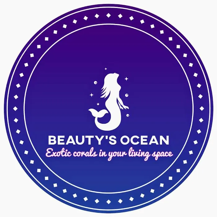 Beautys Ocean Picture 4