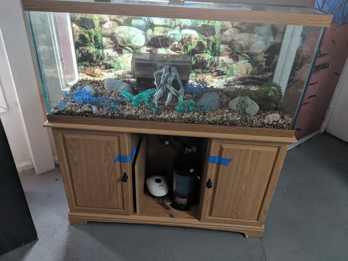 Tropical Treasures LLC Picture 3