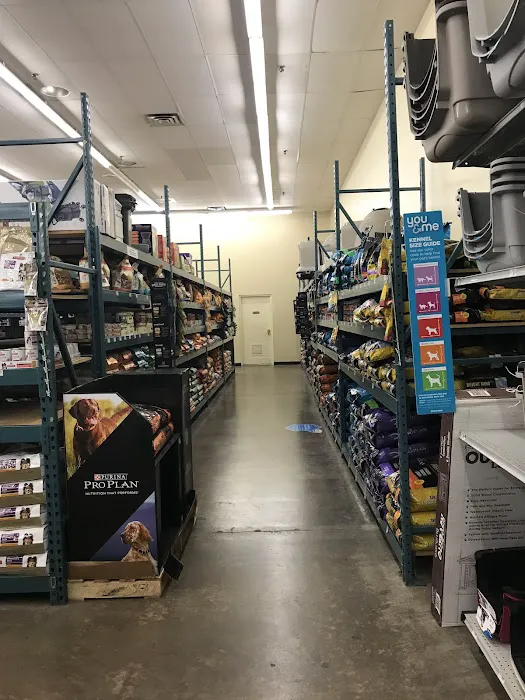 Petco Picture 7