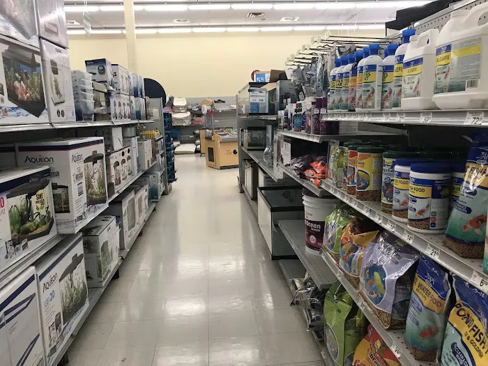 Petco Picture 3