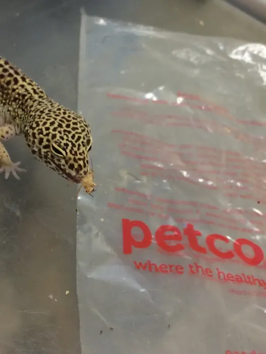 Petco Picture 6