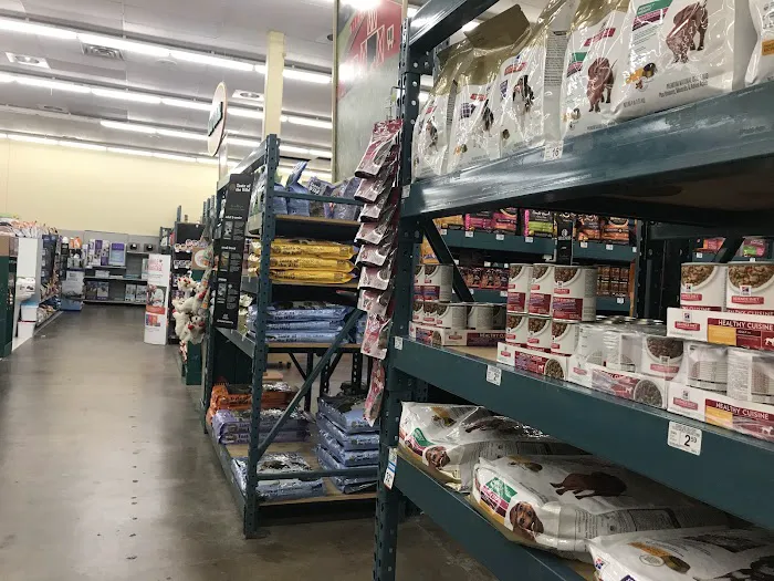 Petco Picture 8