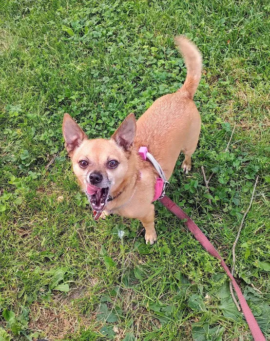 Maryland Mobile Veterinary Clinic, LLC Picture 7