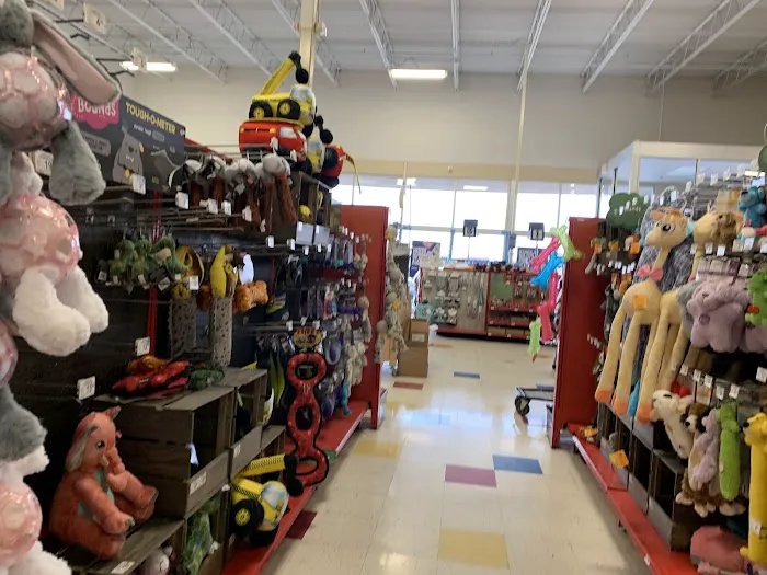 Petco Picture 7