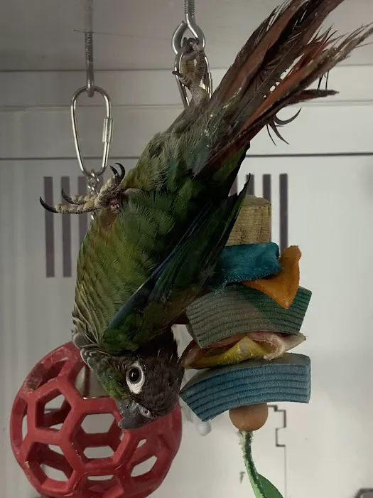 Petco Picture 4