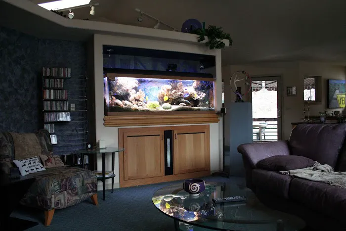 Delicate Beauty Aquariums Picture 3