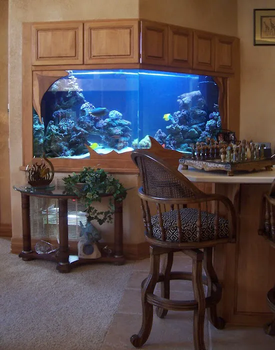 Delicate Beauty Aquariums Picture 2