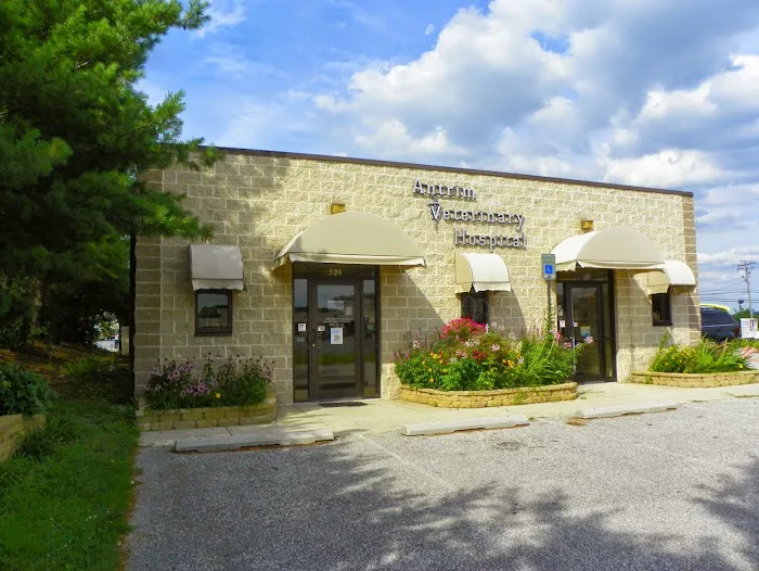 Antrim Veterinary Hospital, LLC Picture 8