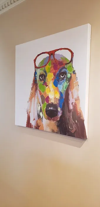 New Oxford Veterinary Clinic Picture 1