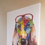 New Oxford Veterinary Clinic