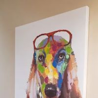 New Oxford Veterinary Clinic ico