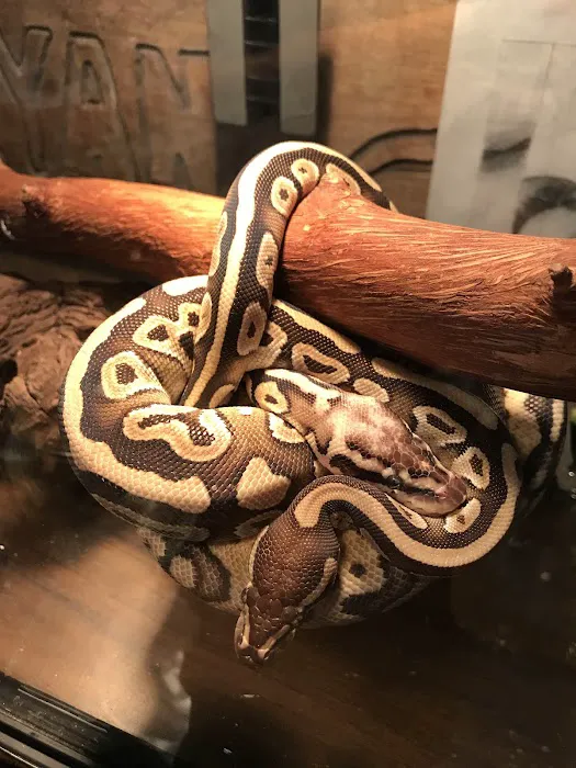 Petco Picture 6