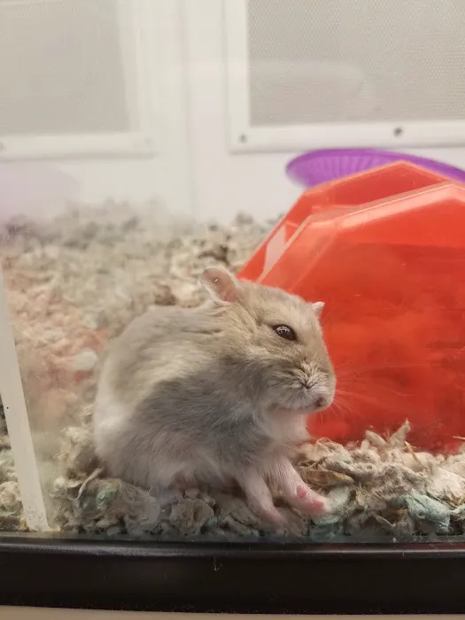 Petco Picture 1