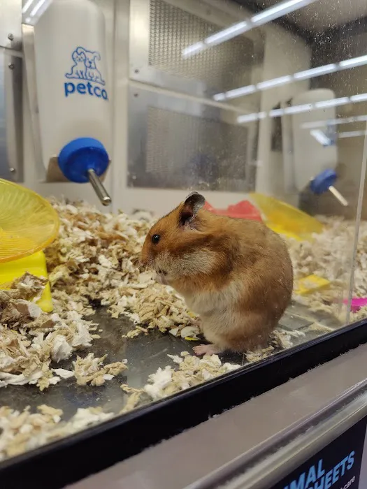Petco Picture 9