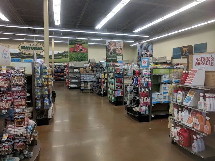 Petco Picture 2
