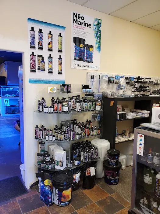 Reefkoi Corals LLC Picture 8