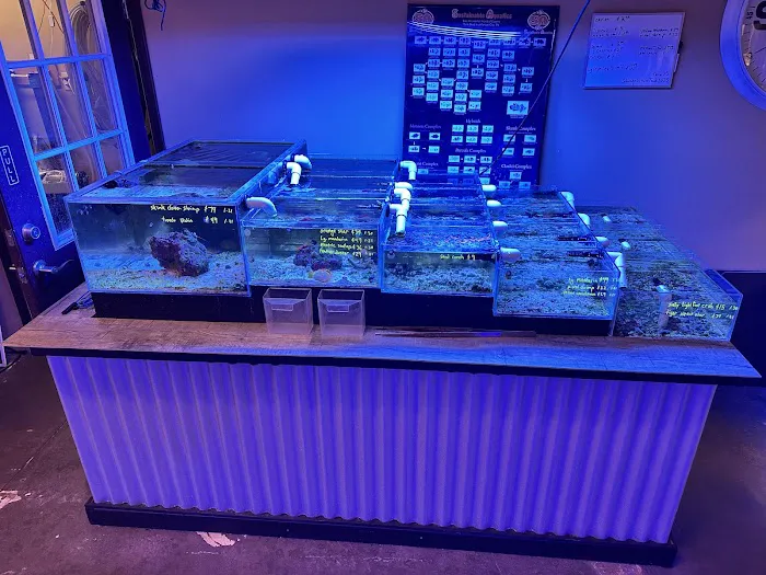 Reefkoi Corals LLC Picture 6