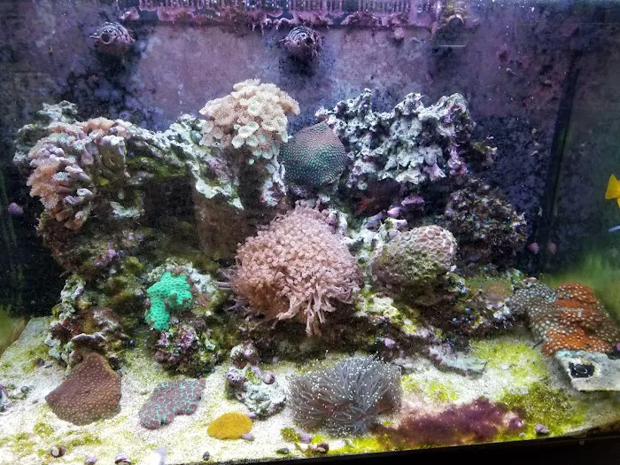 Seascape Aquatics Picture 4