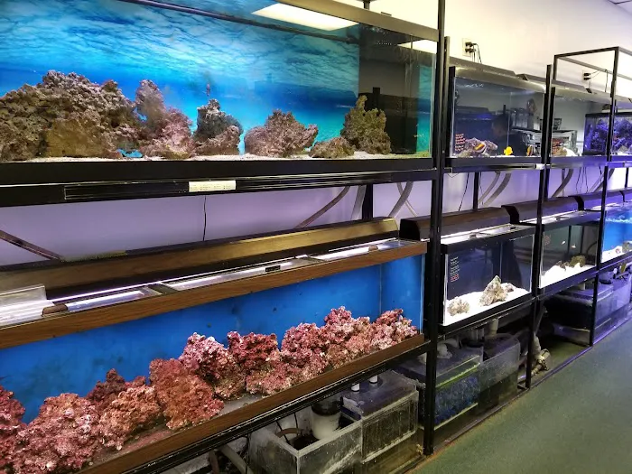Seascape Aquatics Picture 5