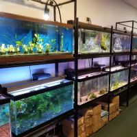 Seascape Aquatics ico