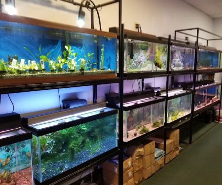 Seascape Aquatics