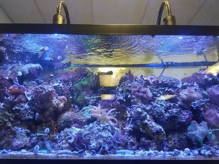 Seascape Aquatics Picture 10