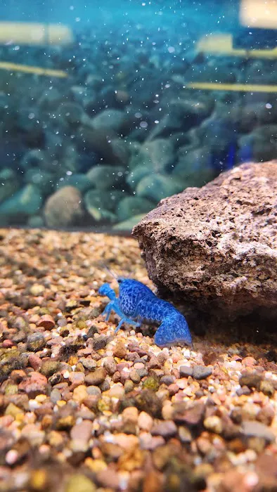 Seascape Aquatics Picture 9