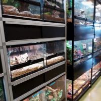 Scales 'N Tails Colorado Springs East ico